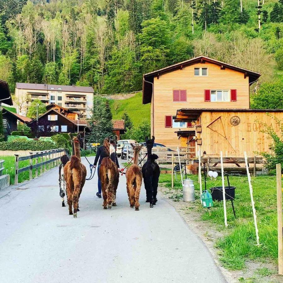 Jurte Beim Lama- & Alpakahof Triesenberg Hotel Kültér fotó