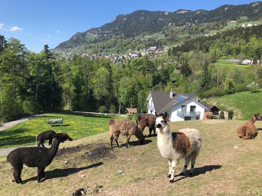 Jurte Beim Lama- & Alpakahof Triesenberg Hotel Kültér fotó